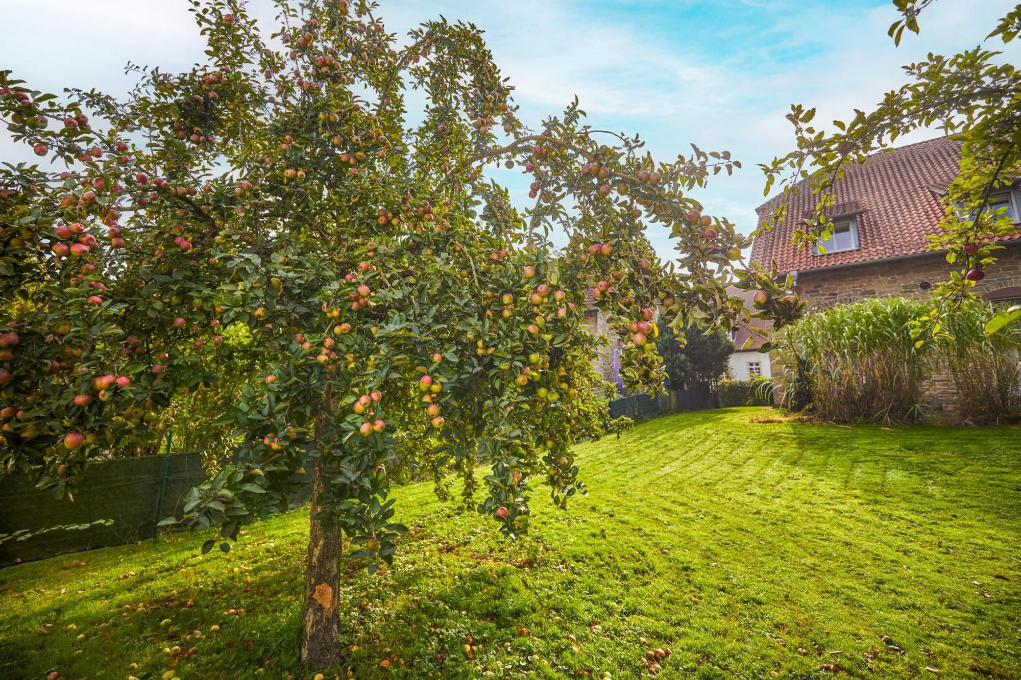 Landhaus Schieder Bagian luar foto